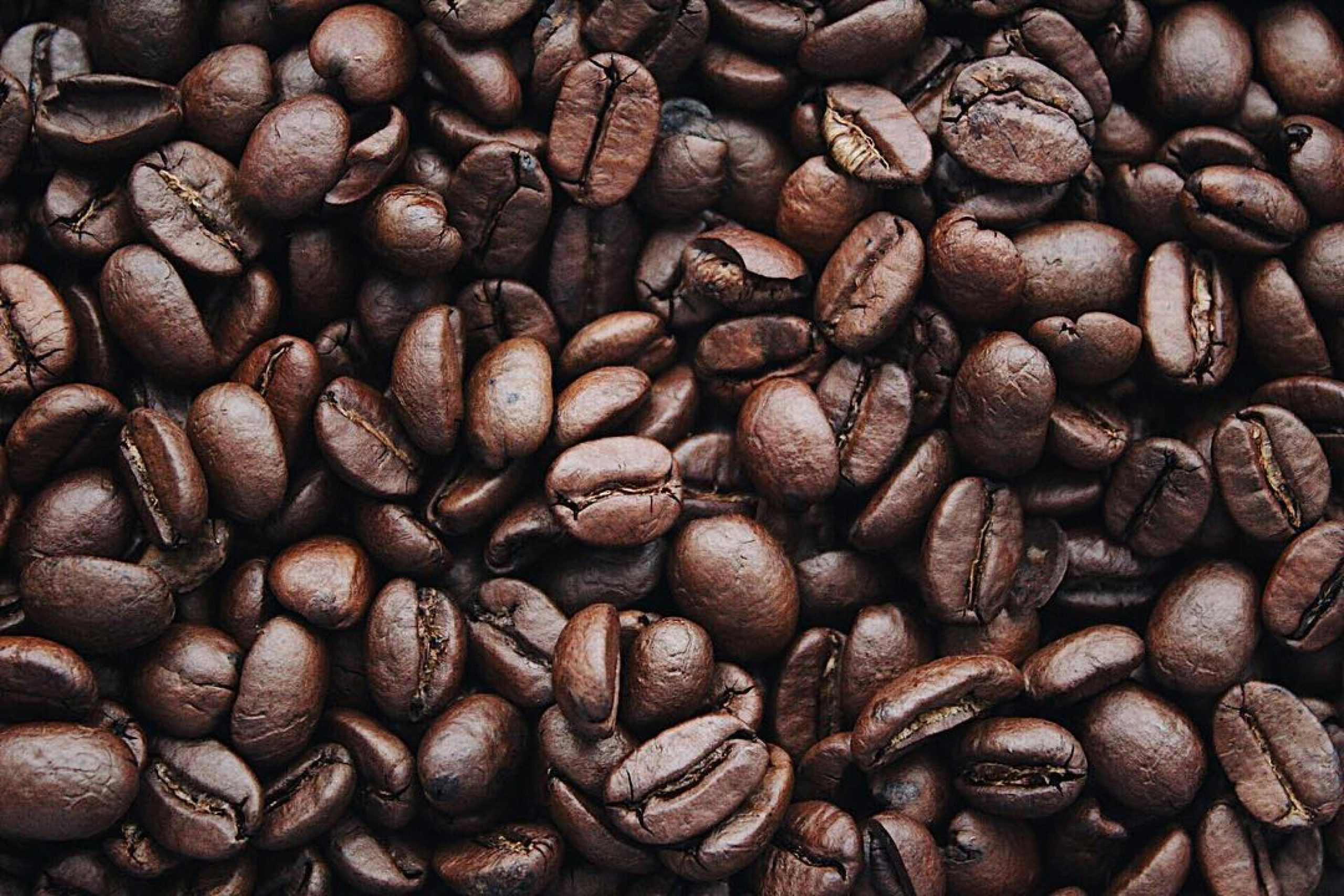 ​​Fairtrade International aggiorna lo standard sul caffè per rafforzare la prevenzione, il monitoraggio e la mitigazione della deforestazione